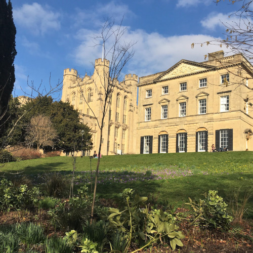 A grand building upon a hill which has spring flowers growing amongst the grass.